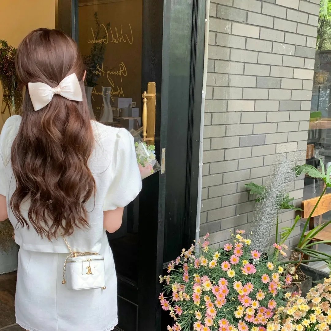 龙与虎OVA：便当的精髓